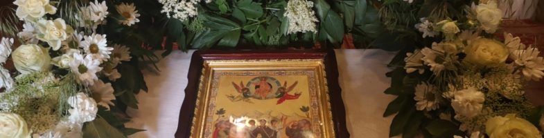 Проповедь протоиерея Константина Курбанова в праздник Вознесения Господня 28.05.2020