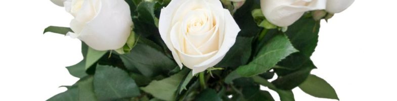 Поздравляем протоиерея Константина Курбанова и иерея Константина Горбулина с Днем Ангела!